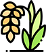 Whole Grain – med diet recipes
